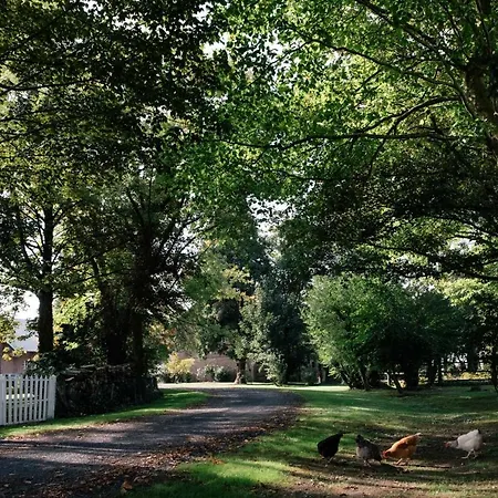 Ferme De L'abbaye Couette-café