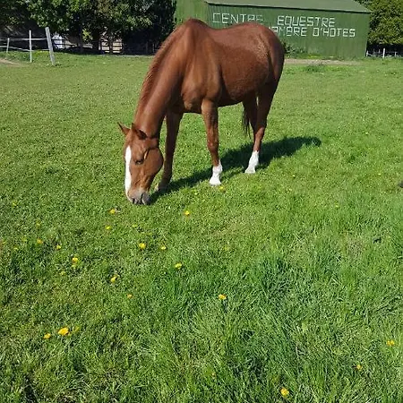 לינה וארוחת בוקר Ferme De L'abbaye Dury (Pas-de-Calais)