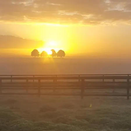 Ferme De L'abbaye לינה וארוחת בוקר